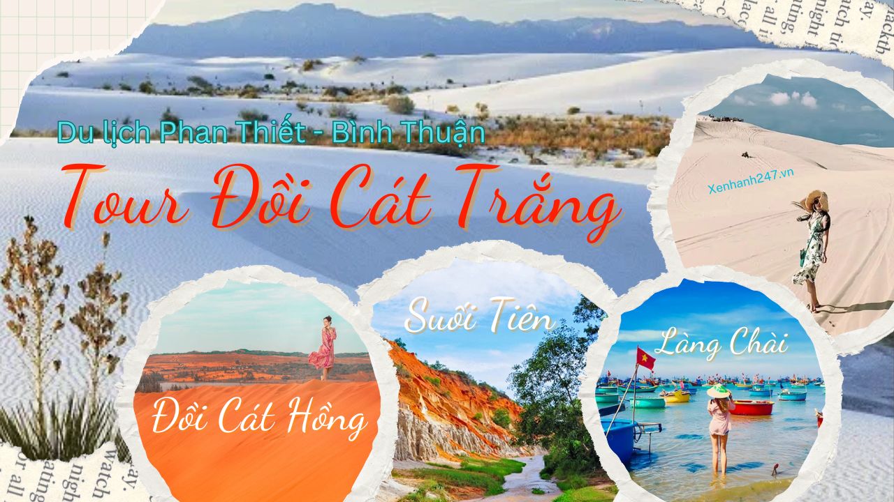 Tour Du Lịch Đồi Cát Trắng - Khám Phá Vẻ Đẹp Hoang Sơ Tại Bình Thuận